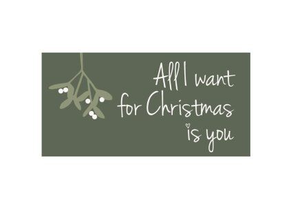 MAGNETKA All I want for Christmas IB LAURSEN