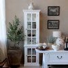 VITRÍNA 2D WHITE CHIC ANTIQUE (40050001)